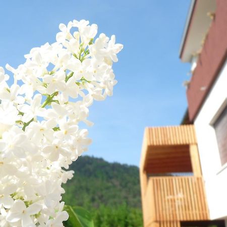 B&B Casa Sul Lago - Appartamenti Calceranica al Lago Pokój zdjęcie