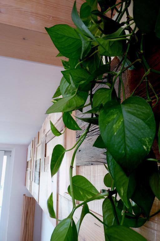 B&B Casa Sul Lago - Appartamenti Calceranica al Lago Pokój zdjęcie