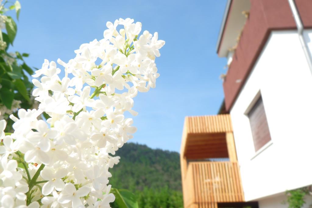 B&B Casa Sul Lago - Appartamenti Calceranica al Lago Pokój zdjęcie