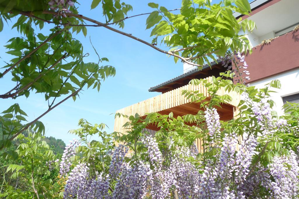 B&B Casa Sul Lago - Appartamenti Calceranica al Lago Zewnętrze zdjęcie