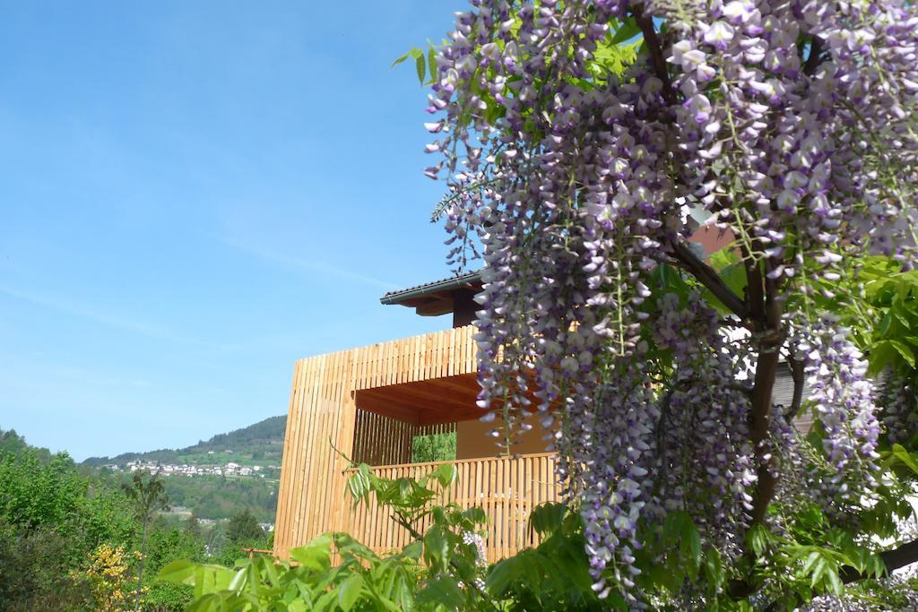 B&B Casa Sul Lago - Appartamenti Calceranica al Lago Zewnętrze zdjęcie